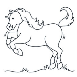 Desenho de Cavalo de criação para colorir