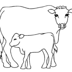 Desenhos para colorir - Vaca