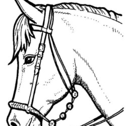 Desenhos de Cavalo para colorir - Bora Colorir