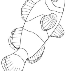desenho de impressão desenho de desenho de peixe aquático para colorir para  criança 12673526 Vetor no Vecteezy