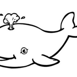 Desenhos de Baleias para Imprimir e Colorir