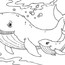 Desenhos de Baleia para Colorir e Imprimir