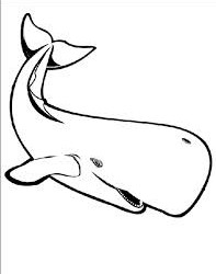 Desenhos de Baleia para colorir - Bora Colorir