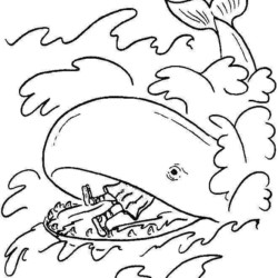 Desenhos para colorir de desenho de uma grande baleia para colorir online  