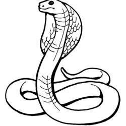 Desenho Para Colorir cobra - Imagens Grátis Para Imprimir - img 17817