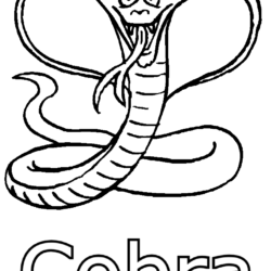 87+ Desenhos de Cobra para Imprimir e Pintar Grátis