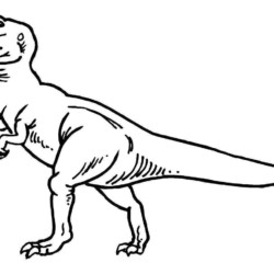 40 desenhos de dinossauros para colorir, pintar, imprimir! Dinossauro  pintar moldes e riscos -…