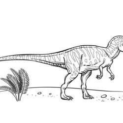 desenhos de mandala de dinossauro tiranossauro rex para colorir 7819193  Vetor no Vecteezy