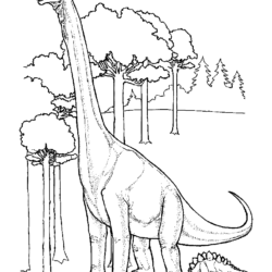Desenhos de dinossauros para imprimir e colorir - Dicas Práticas
