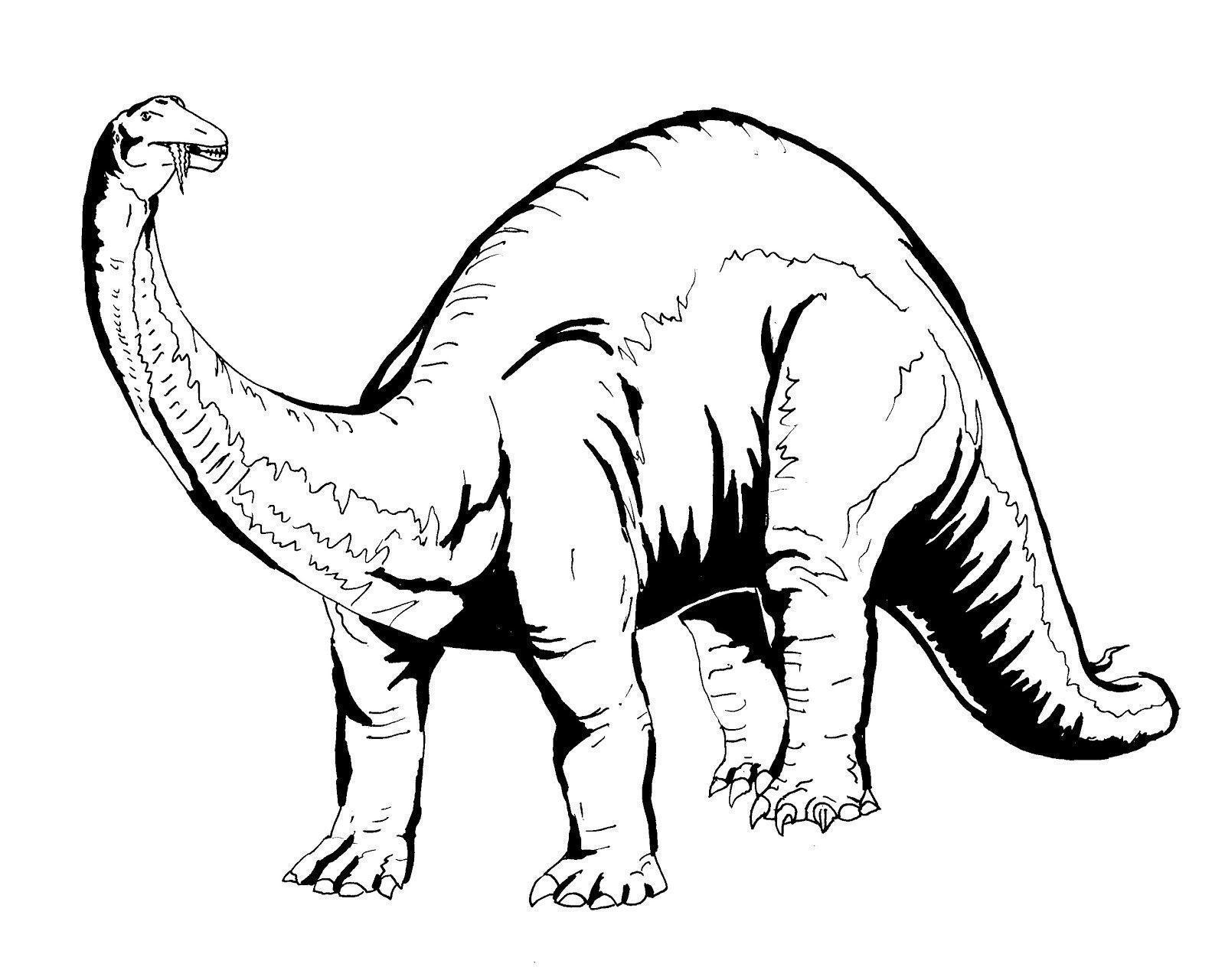 desenho de dinossauro para colorir