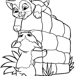 Gato para Colorir: desenhos para imprimir e pintar  Gatinho kawaii, Desenhos  kawaii, Desenhos de gatos
