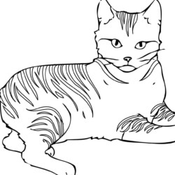 30 Desenhos de Gatos para Imprimir e Colorir em Casa