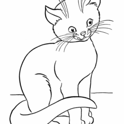 Página 60  Desenhos De Gatos Para Imprimir Imagens – Download