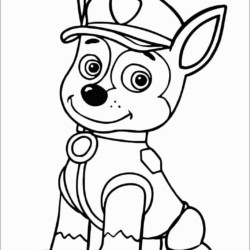 Desenhos da Patrulha Canina para colorir, pintar e imprimir  Patrulha  canina para colorir, Patrulha canina desenho, Patrulha canina para imprimir