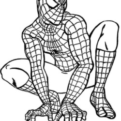 Desenho Irado do Homem-Aranha para Colorir Online