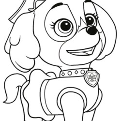 Desenho pintar da patrulha canina