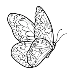 Lindo unicórnio com desenho de borboleta para colorir