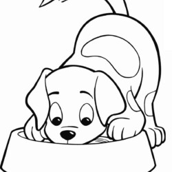 Cachorros para colorir  Desenho de cachorro, Páginas de colorir com  animais, Cachorro desenho