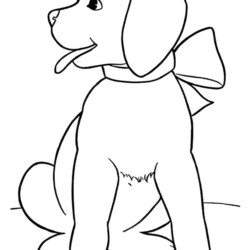 Cachorros para colorir - Desenhos Imprimir