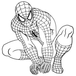 15 ideias de Homem Aranha para Colorir  homem aranha, colorir, homem  aranha desenho