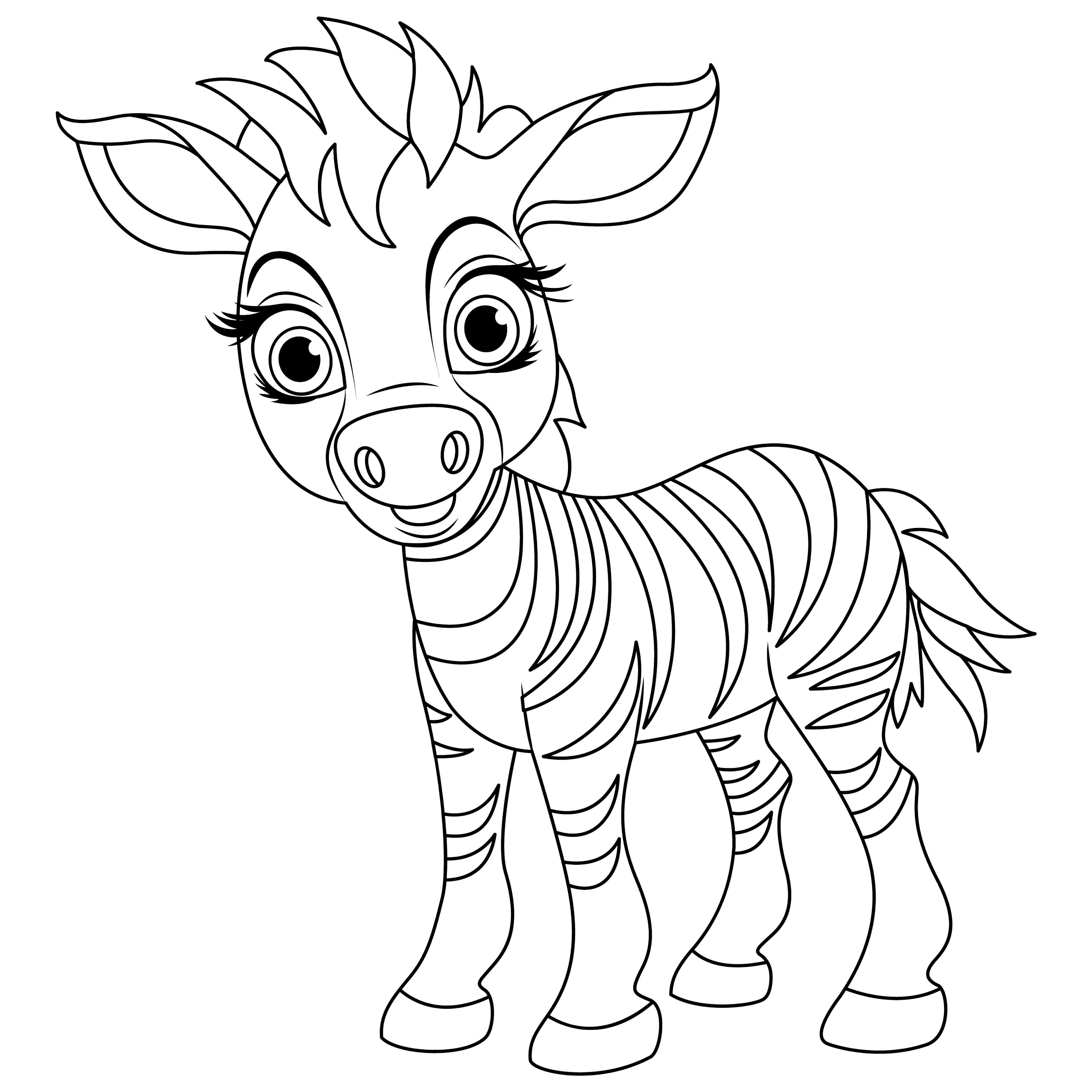 Zebras