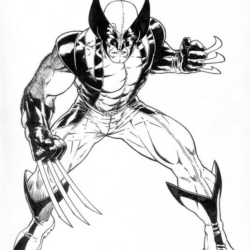 Wolverine